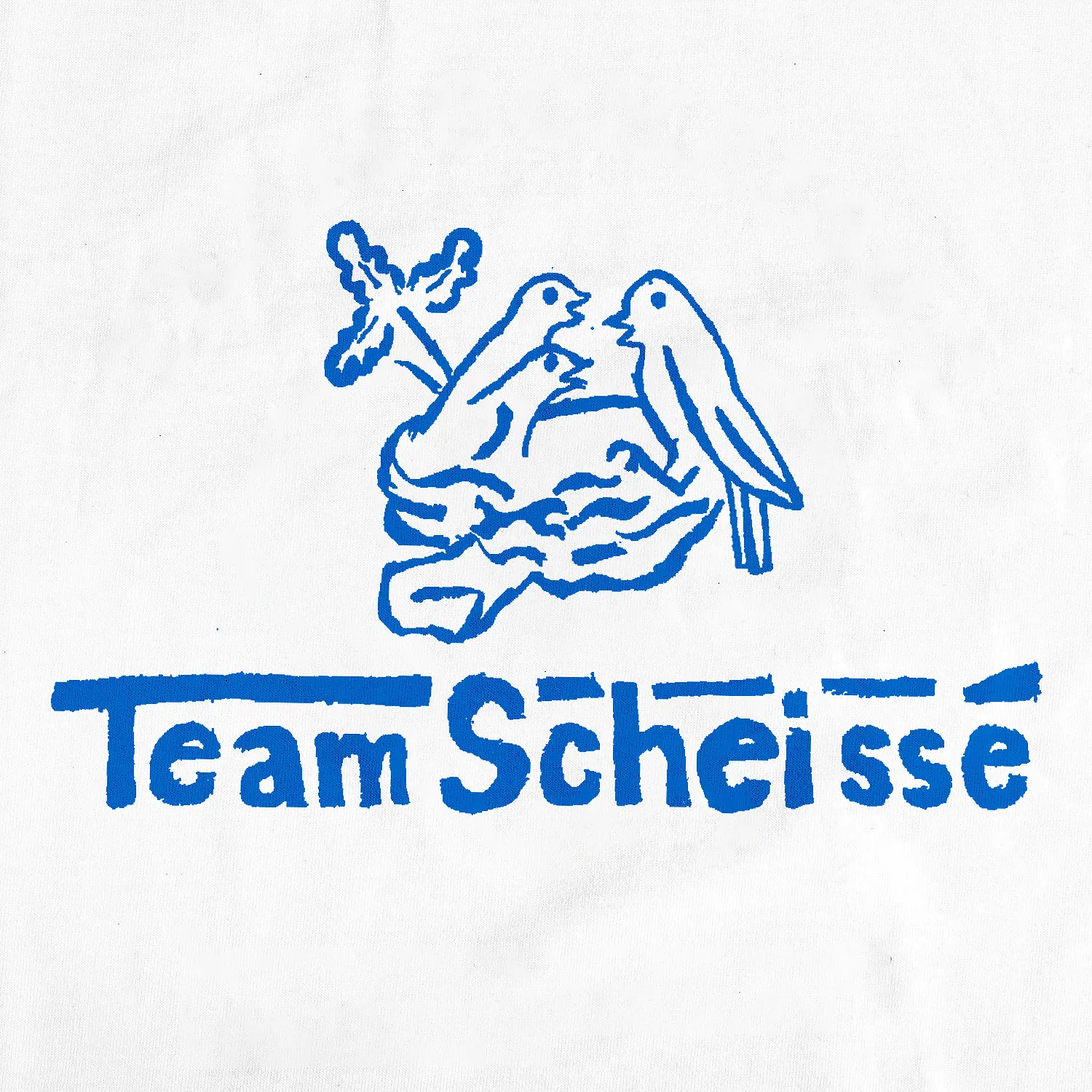 Team Scheissé