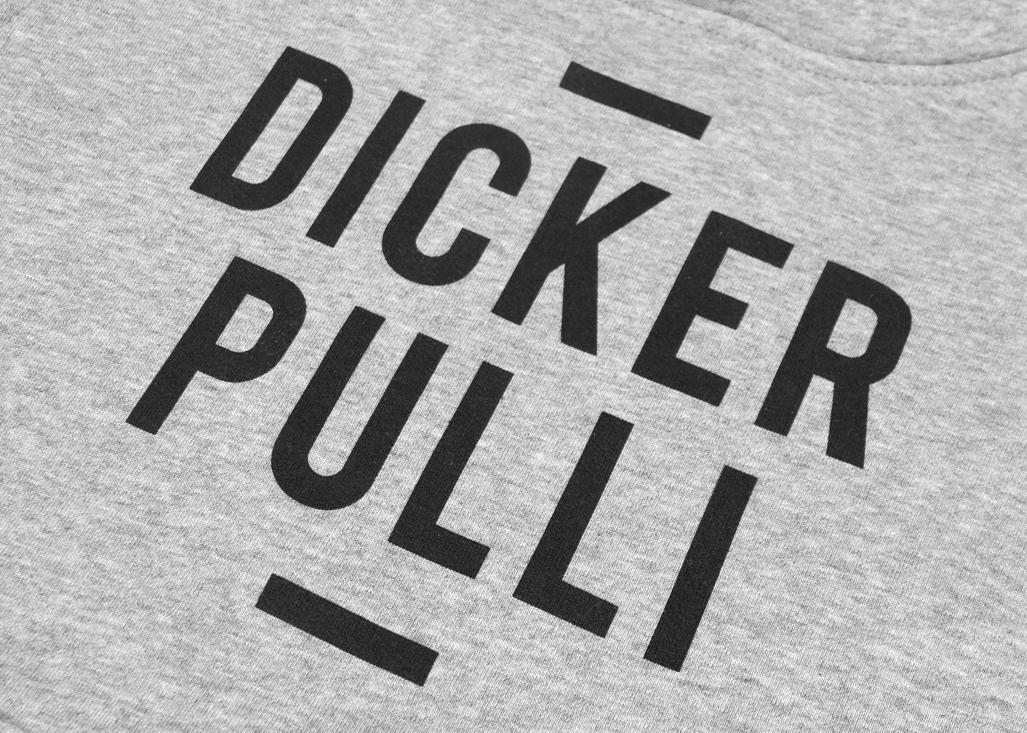 Dicker Pulli