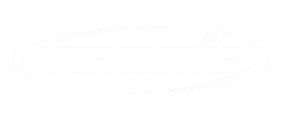 TEMMIS Logo