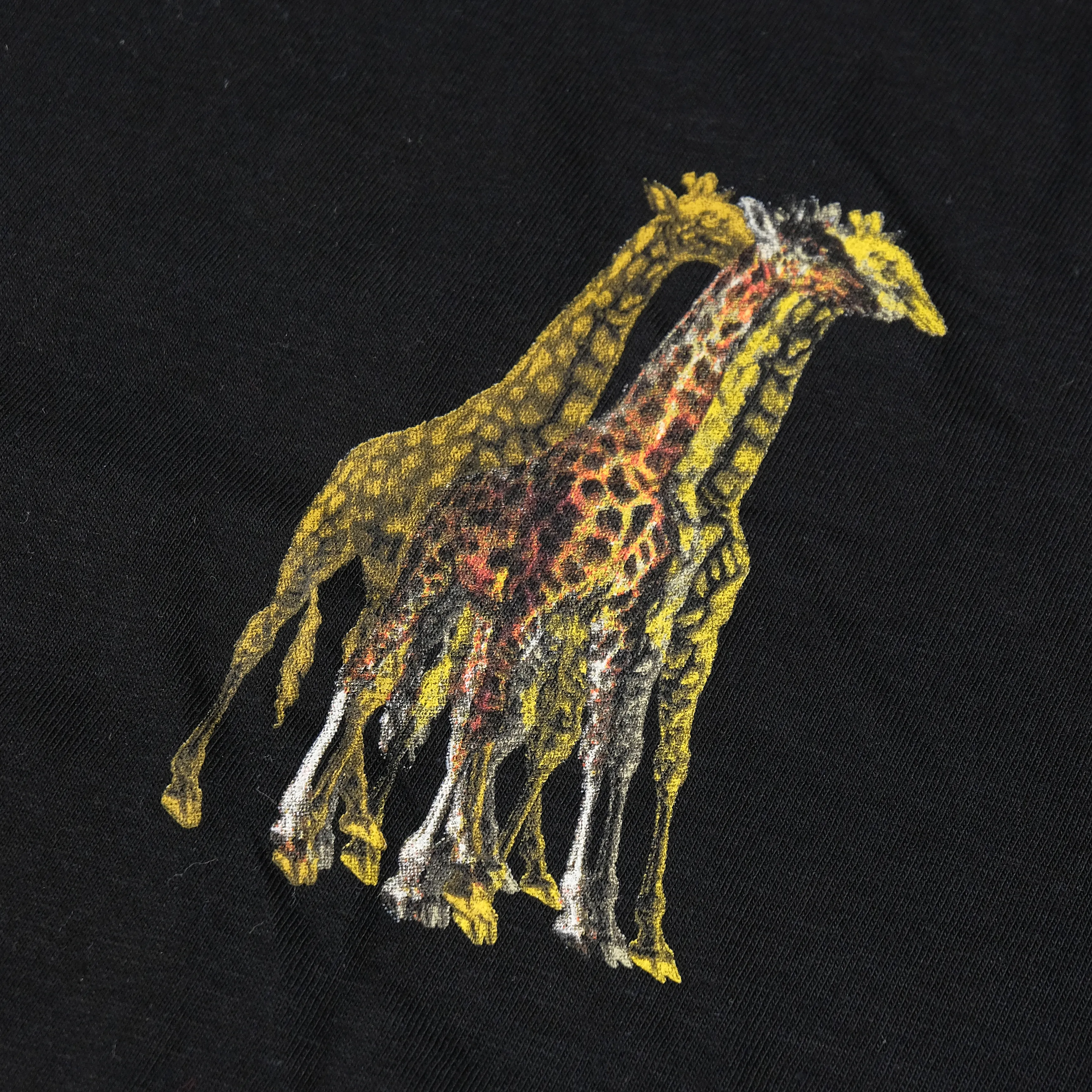 Long Player on Tour 2024