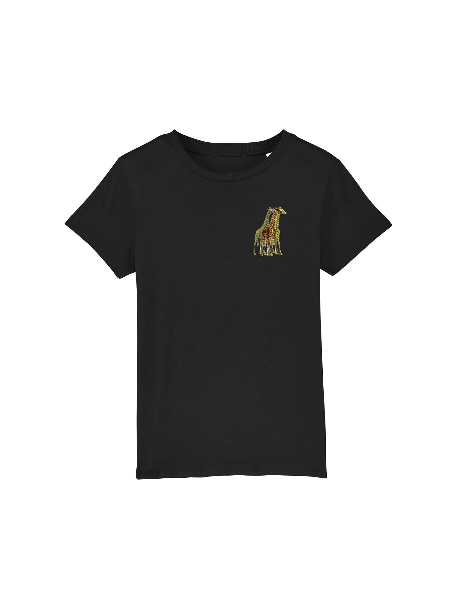 Long Player on Tour 2024